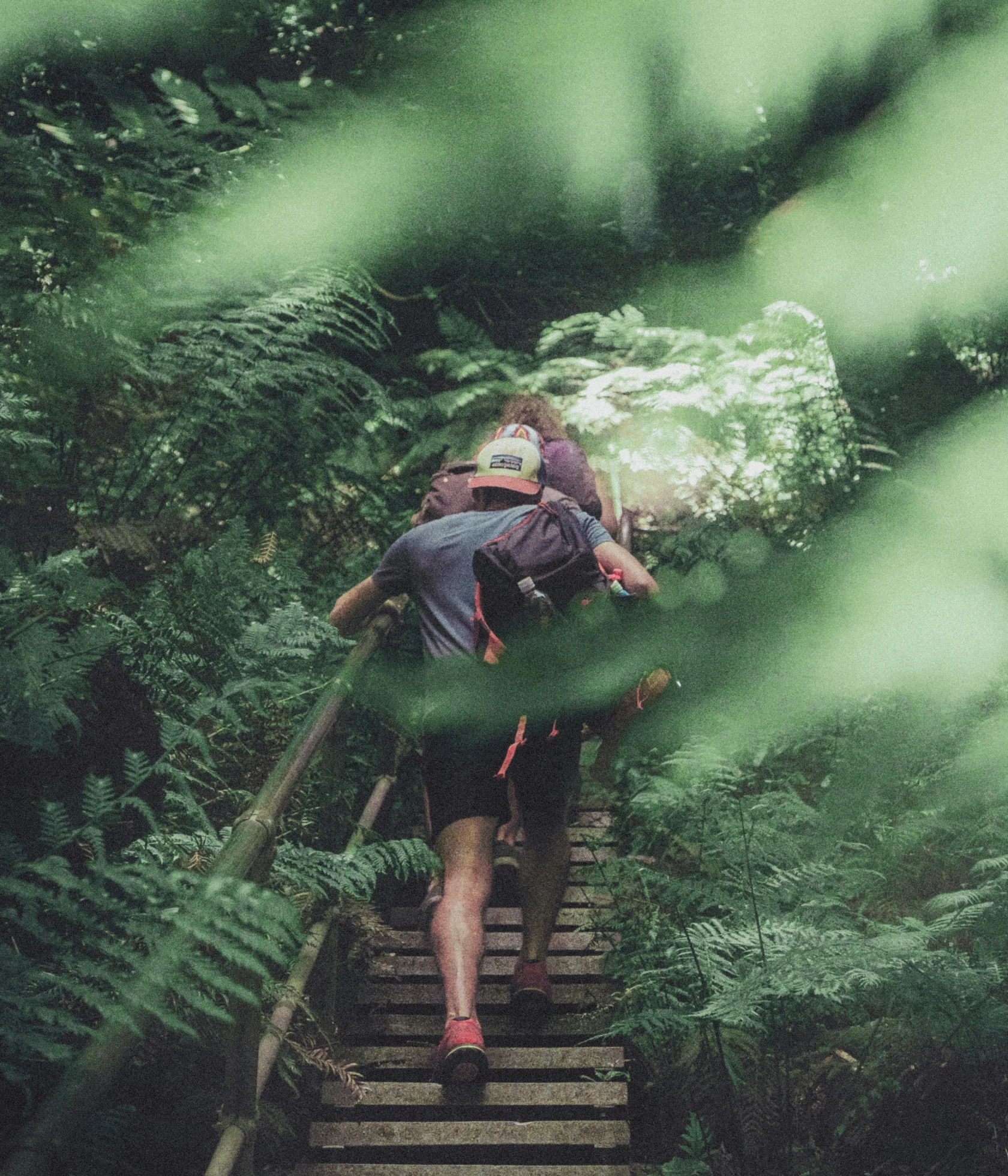 Climbing Stairs by the nature at Thomson Reserve